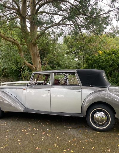 All Events - Alice – 1950’s style Royal Windsor Convertible - Wedding Car