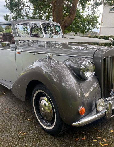 All Events - Alice – 1950’s style Royal Windsor Convertible - Wedding Car