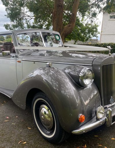 All Events - Alice – 1950’s style Royal Windsor Convertible - Wedding Car