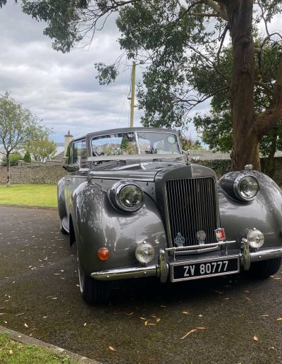 All Events - Alice – 1950’s style Royal Windsor Convertible - Wedding Car