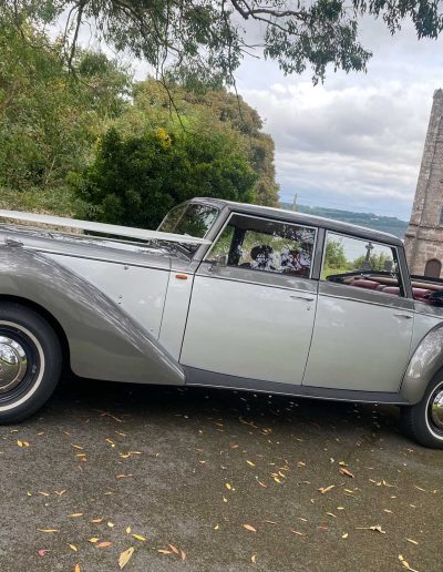 All Events - Alice – 1950’s style Royal Windsor Convertible - Wedding Car