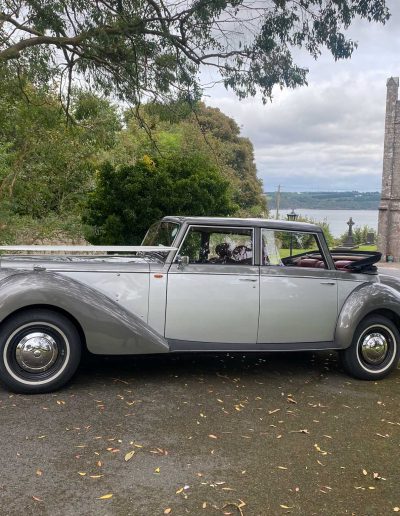 All Events - Alice – 1950’s style Royal Windsor Convertible - Wedding Car